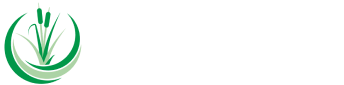 Rushy Meadow Primary Academy